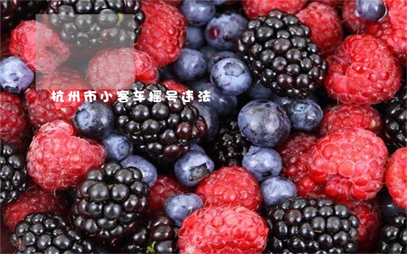 杭州市小客车摇号违法 杭州市小客车摇号违法