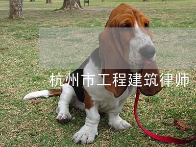 杭州市工程建筑律师 杭州市工程建筑律师