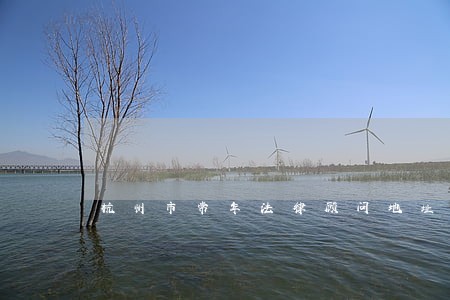 杭州市常年法律顾问地址 杭州市常年法律顾问地址