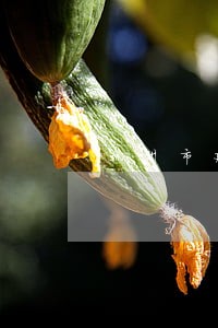 杭州市建德市收费合理的律师 杭州市建德市收费合理的律师