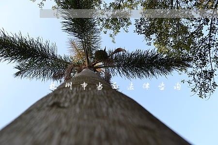 杭州市当面法律咨询
