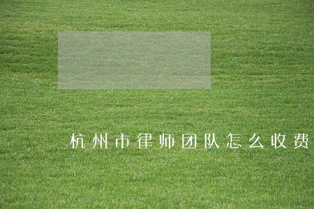 杭州市律师团队怎么收费