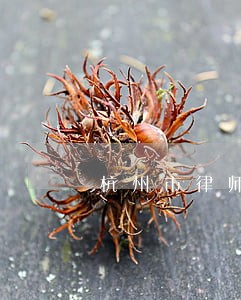 杭州市律师收费标准计算器 杭州市律师收费标准计算器