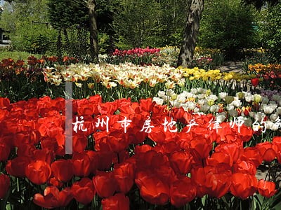 杭州市房地产律师的解答 杭州市房地产律师的解答
