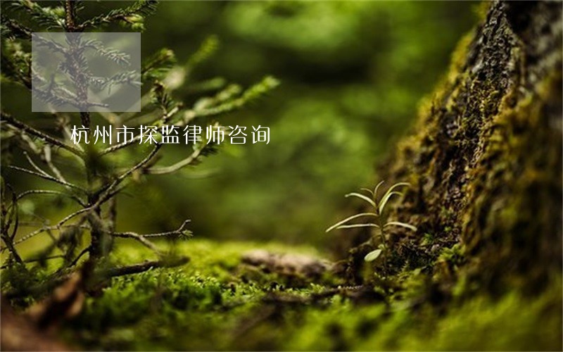 杭州市探监律师咨询 杭州市探监律师咨询