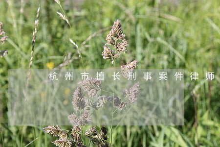 杭州市擅长刑事案件律师网站