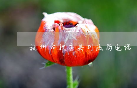 杭州市桐庐县司法局电话 杭州市桐庐县司法局电话
