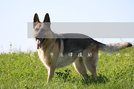 杭州市法律援助中心地址 杭州市法律援助中心地址