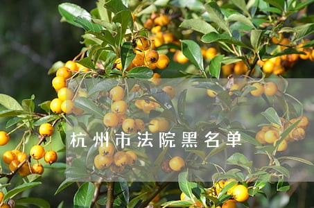 杭州市法院黑名单 杭州市法院黑名单