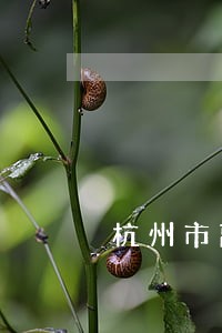杭州市离婚房产纠纷律师收费标准 杭州市离婚房产纠纷律师收费标准