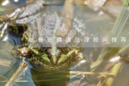杭州市聘请法律顾问推荐 杭州市聘请法律顾问推荐