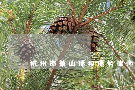 杭州市萧山债权债务律师 杭州市萧山债权债务律师