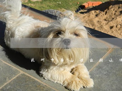 杭州市萧山债权转让律师 杭州市萧山债权转让律师