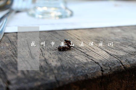 杭州市萧山法律顾问 杭州市萧山法律顾问