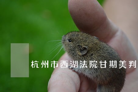 杭州市西湖法院甘期美判决书