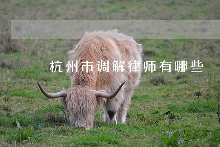 杭州市调解律师有哪些 杭州市调解律师有哪些