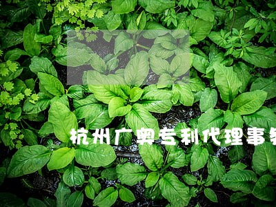 杭州广奥专利代理事务所 杭州广奥专利代理事务所