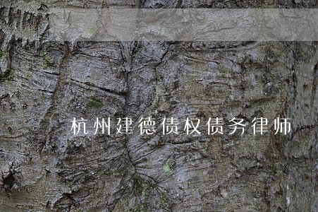 杭州建德债权债务律师 杭州建德债权债务律师