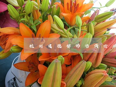 杭州建德律师咨询价格 杭州建德律师咨询价格