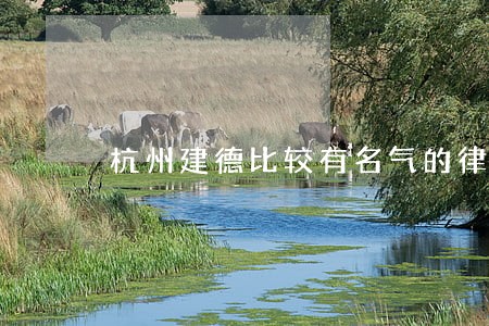 杭州建德比较有名气的律师 杭州建德比较有名气的律师