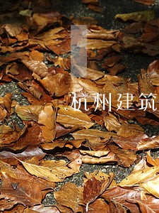 杭州建筑工程律师多少钱