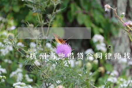 杭州当地借贷合同律师找谁好