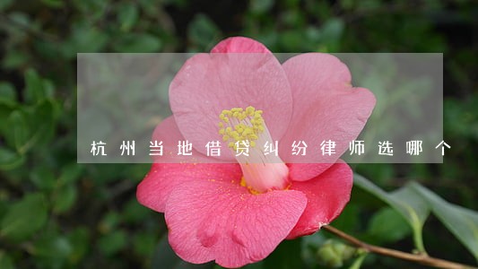 杭州当地借贷纠纷律师选哪个 杭州当地借贷纠纷律师选哪个