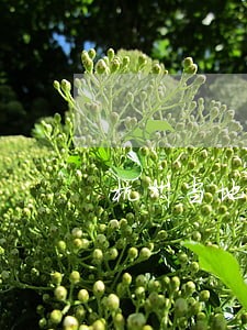 杭州当地债权债务律师如何委托