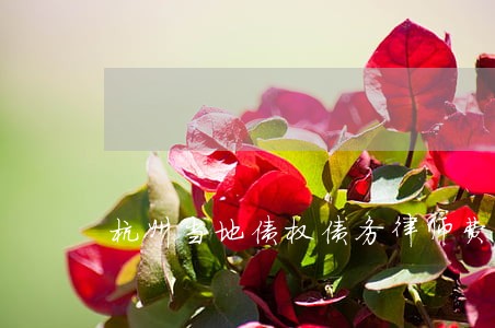 杭州当地债权债务律师费用