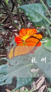 杭州当地债权转让律师联系方式