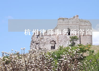 杭州律师事务所咨询 杭州律师事务所咨询