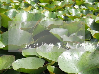 杭州律师事务所哪家最好 杭州律师事务所哪家最好