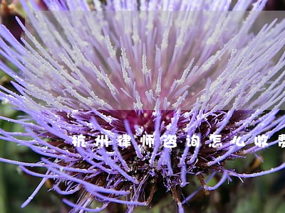 杭州律师咨询怎么收费 杭州律师咨询怎么收费