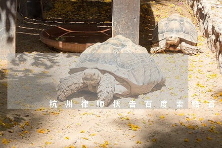 杭州律师状告百度索赔百万