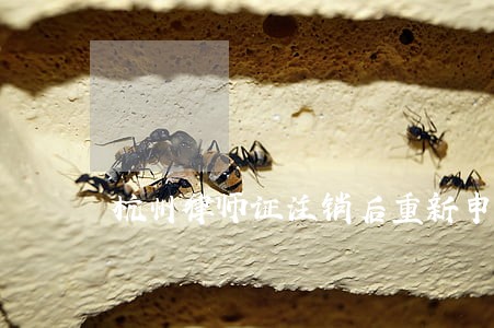杭州律师证注销后重新申请 杭州律师证注销后重新申请