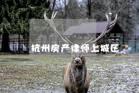 杭州房产律师上城区 杭州房产律师上城区