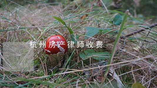 杭州房产律师收费 杭州房产律师收费