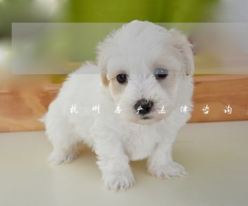杭州房产法律咨询多少钱 杭州房产法律咨询多少钱