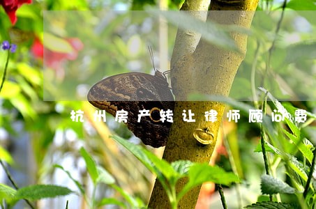 杭州房产转让律师顾问费