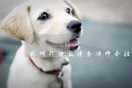 杭州找债权债务律师介绍 杭州找债权债务律师介绍