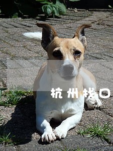 杭州找口碑好的离婚律师 杭州找口碑好的离婚律师