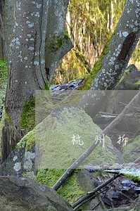 杭州拆迁咨询律师 杭州拆迁咨询律师