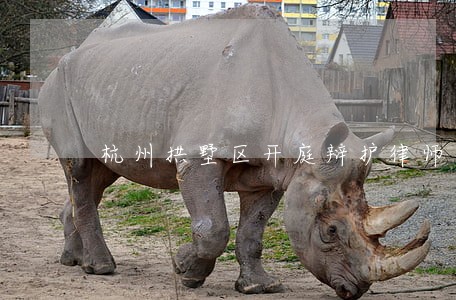杭州拱墅区开庭辩护律师
