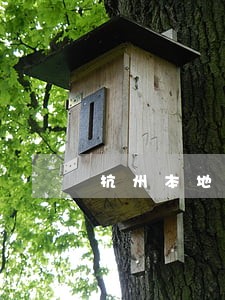 杭州本地债务合同律师多少钱