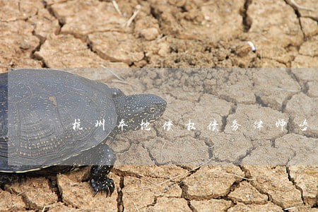 杭州本地债权债务律师咨询 杭州本地债权债务律师咨询