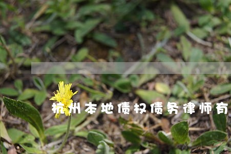 杭州本地债权债务律师有哪些 杭州本地债权债务律师有哪些