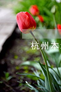杭州本地法律顾问多少钱 杭州本地法律顾问多少钱