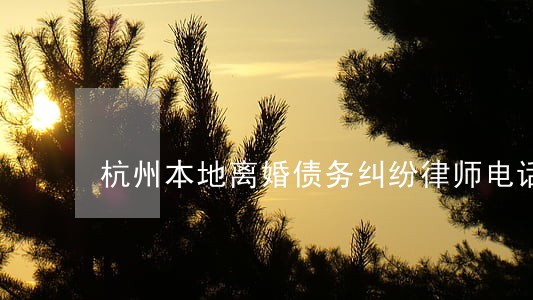 杭州本地离婚债务纠纷律师电话 杭州本地离婚债务纠纷律师电话