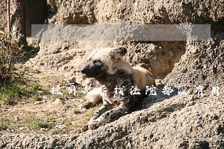 杭州欠薪找法院都没有用 杭州欠薪找法院都没有用