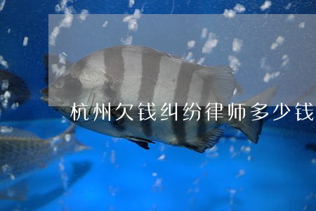 杭州欠钱纠纷律师多少钱 杭州欠钱纠纷律师多少钱
